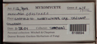 Image Associated With the Occurence